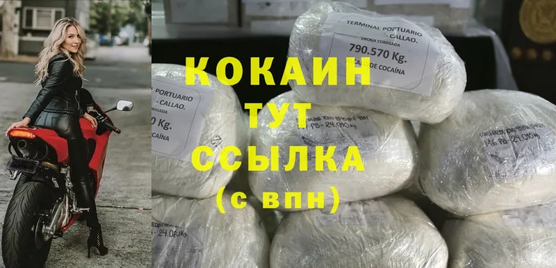 гидра зеркало  Межгорье  Cocaine 99% 